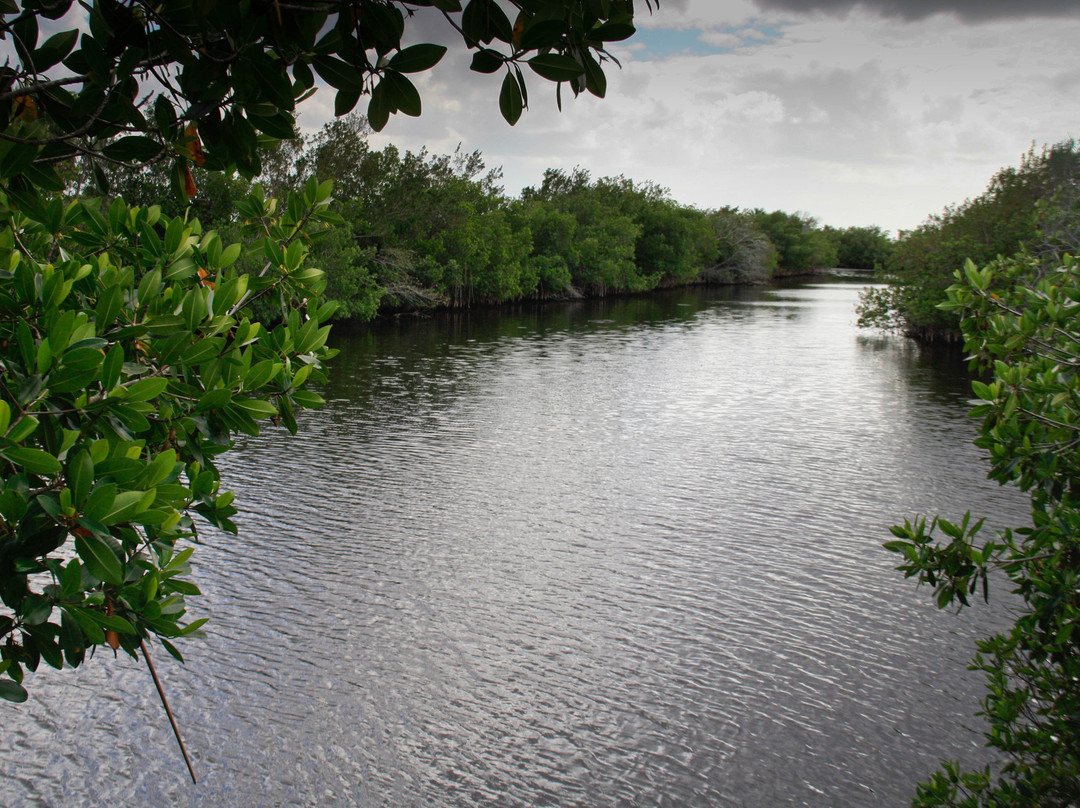 Big Cypress Swamp Welcome Center-奥乔皮必去景点