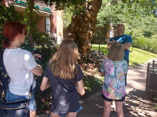 The Witches' Tree-路易斯维尔必去景点