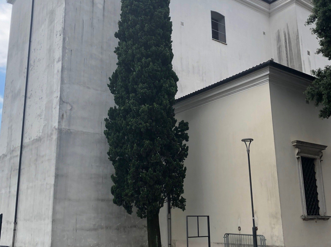 Duomo di San Zenone景点图片