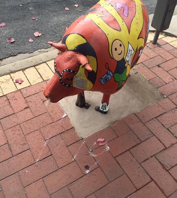 Sheep Art-Kaniva必去景点