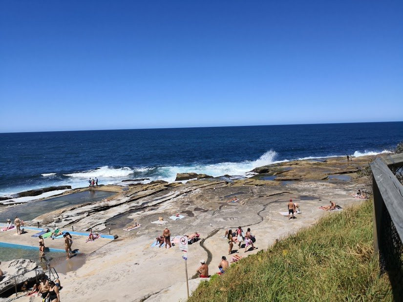 Dee Why Rockpool景点图片