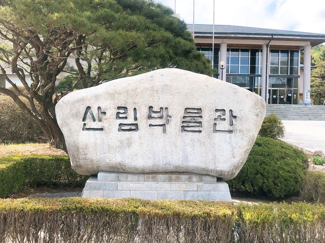 Korea National Arboretum-抱川市必去景点