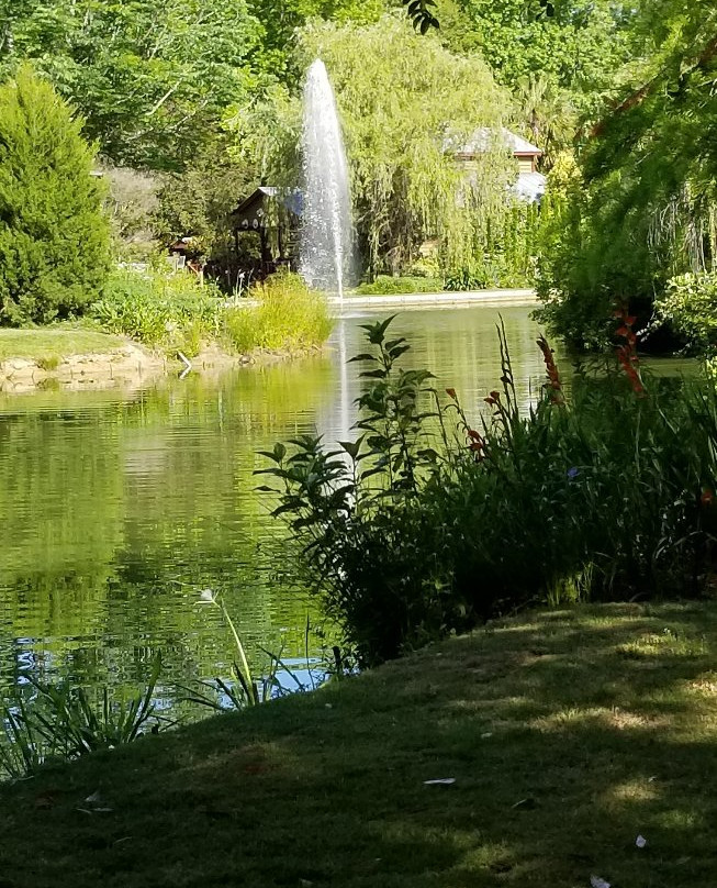 Moore Farms Botanical Garden景点图片