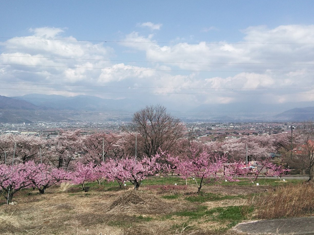 Fuefuki Togenkyo景点图片