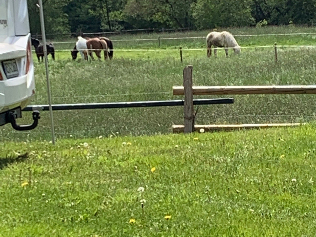 Landgasthof Seemer主图