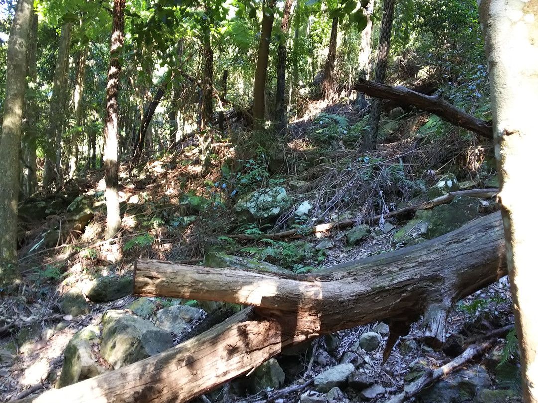 大蓝山山脉-卡通巴必去景点