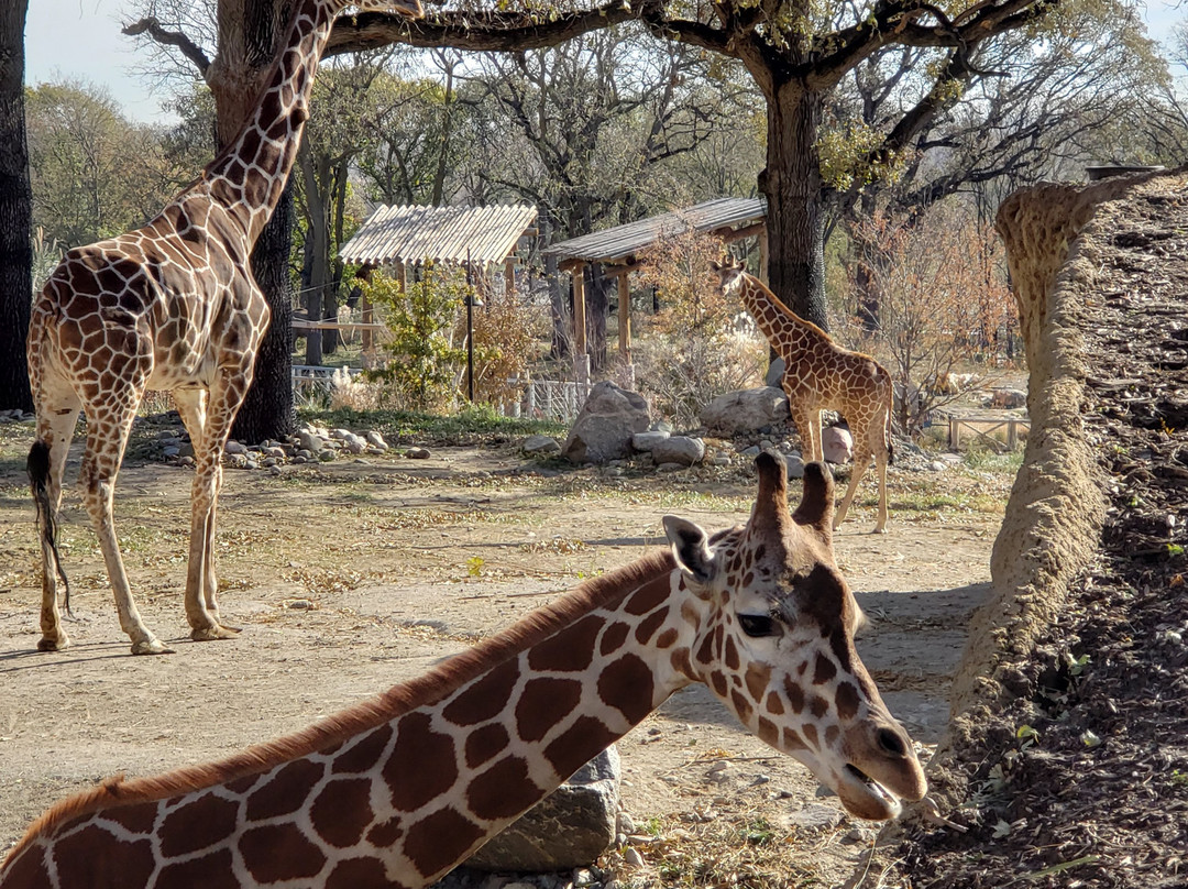 奥马哈亨利多立动物园-奥马哈必去景点