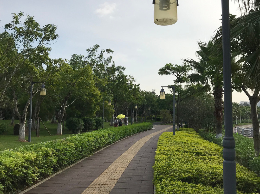 五缘湾湿地公园-厦门市必去景点