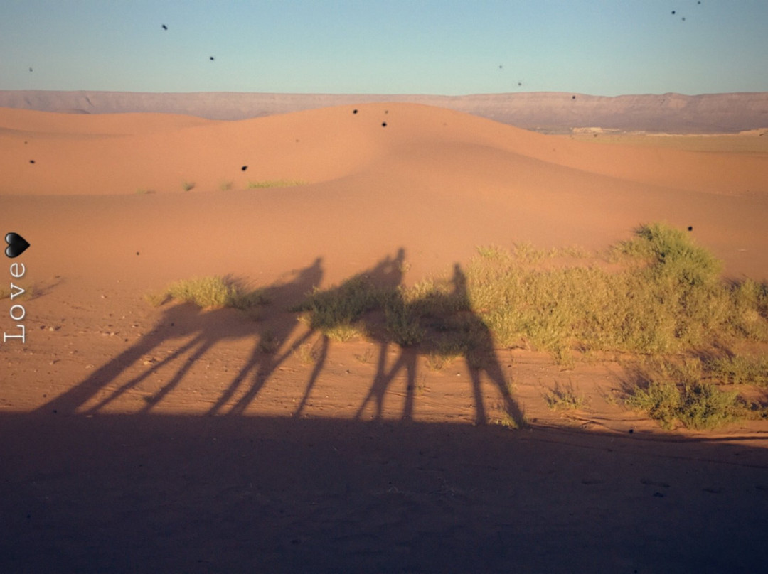 Travel Tamegroute-马拉喀什必去景点