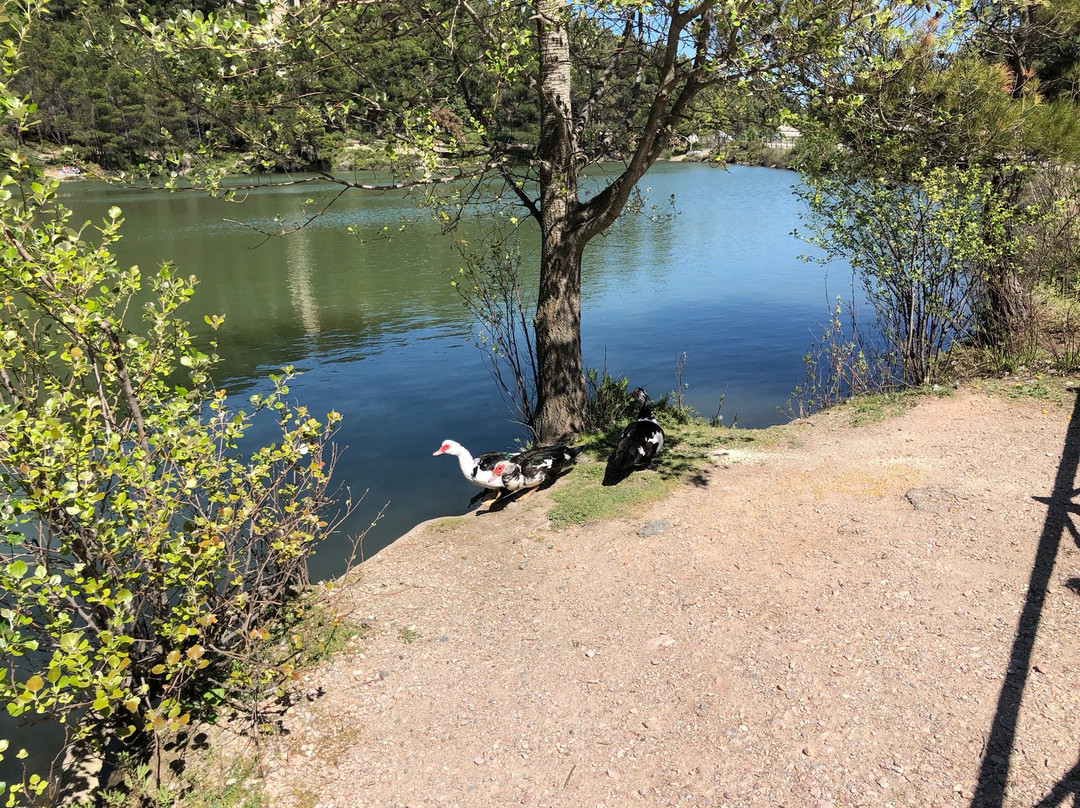 Lake Beletsi景点图片