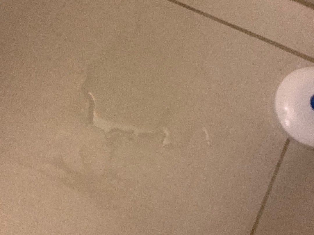 Hilton Garden Inn Dalton主图