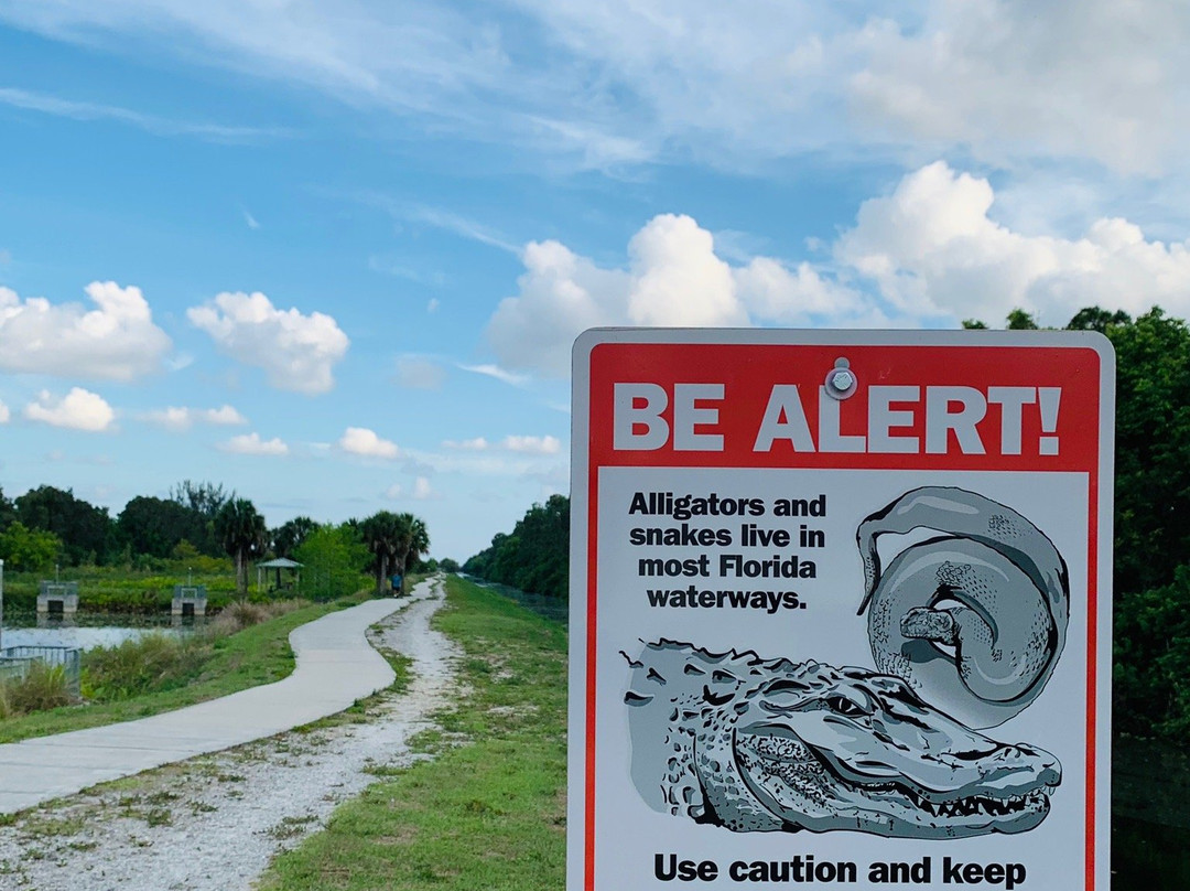John Yarbrough Linear Park-迈尔斯堡必去景点