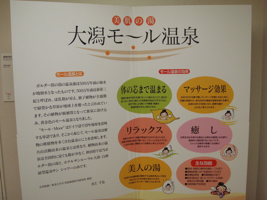 Hotel Sun Rural Ogata主图