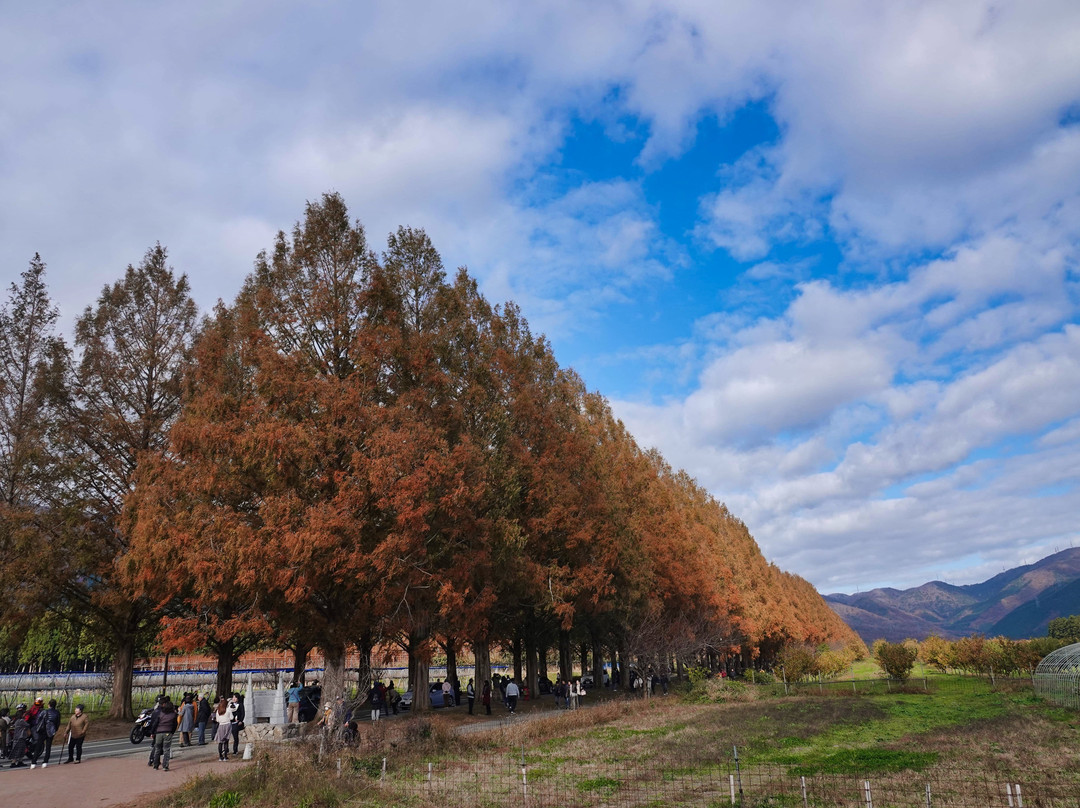 Makino Highland-高岛市必去景点