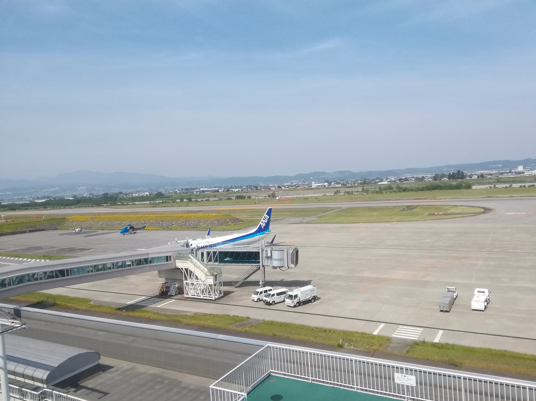 Toyama Airport Lookout Deck景点图片