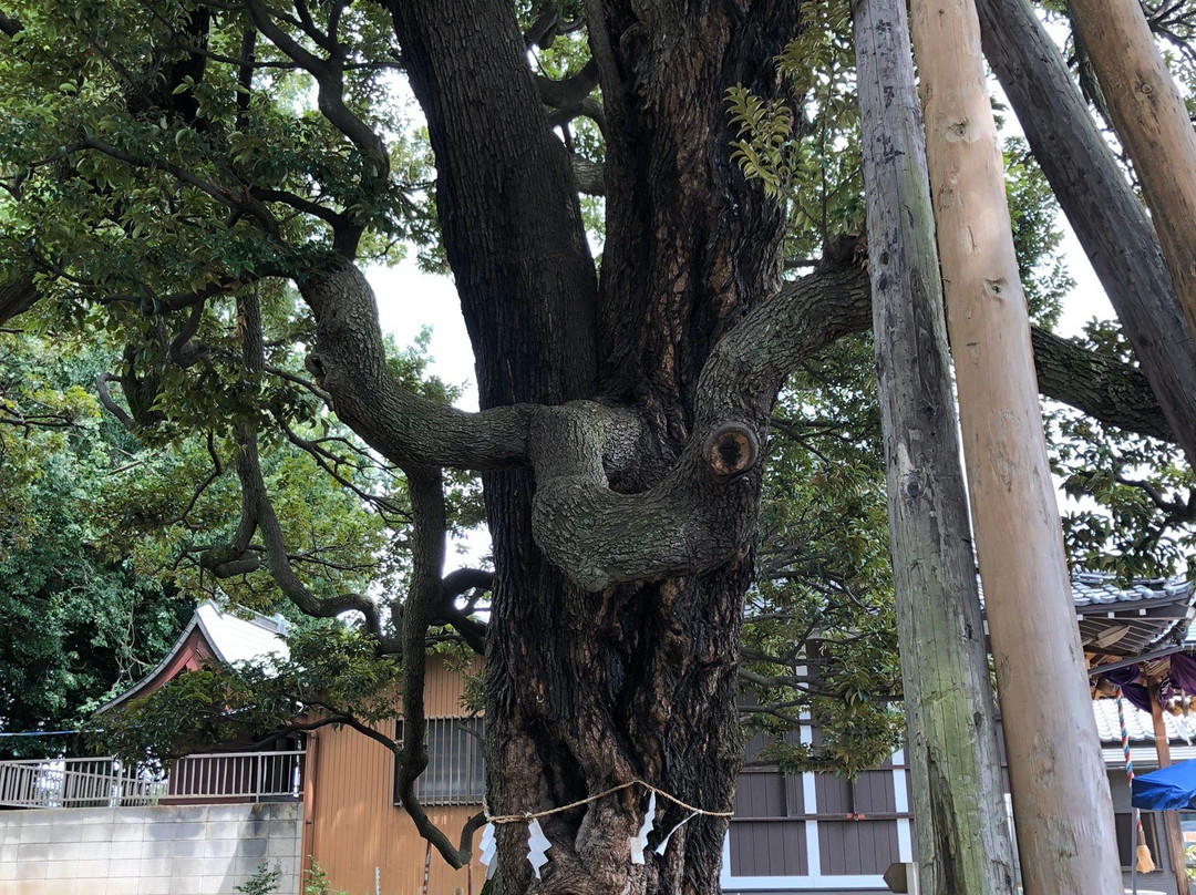 Kokonoe Shrine-川口市必去景点