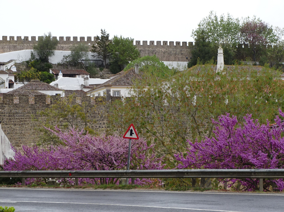 Obidos Town景点图片