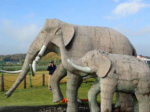 Imbanuma Lake-成田市必去景点