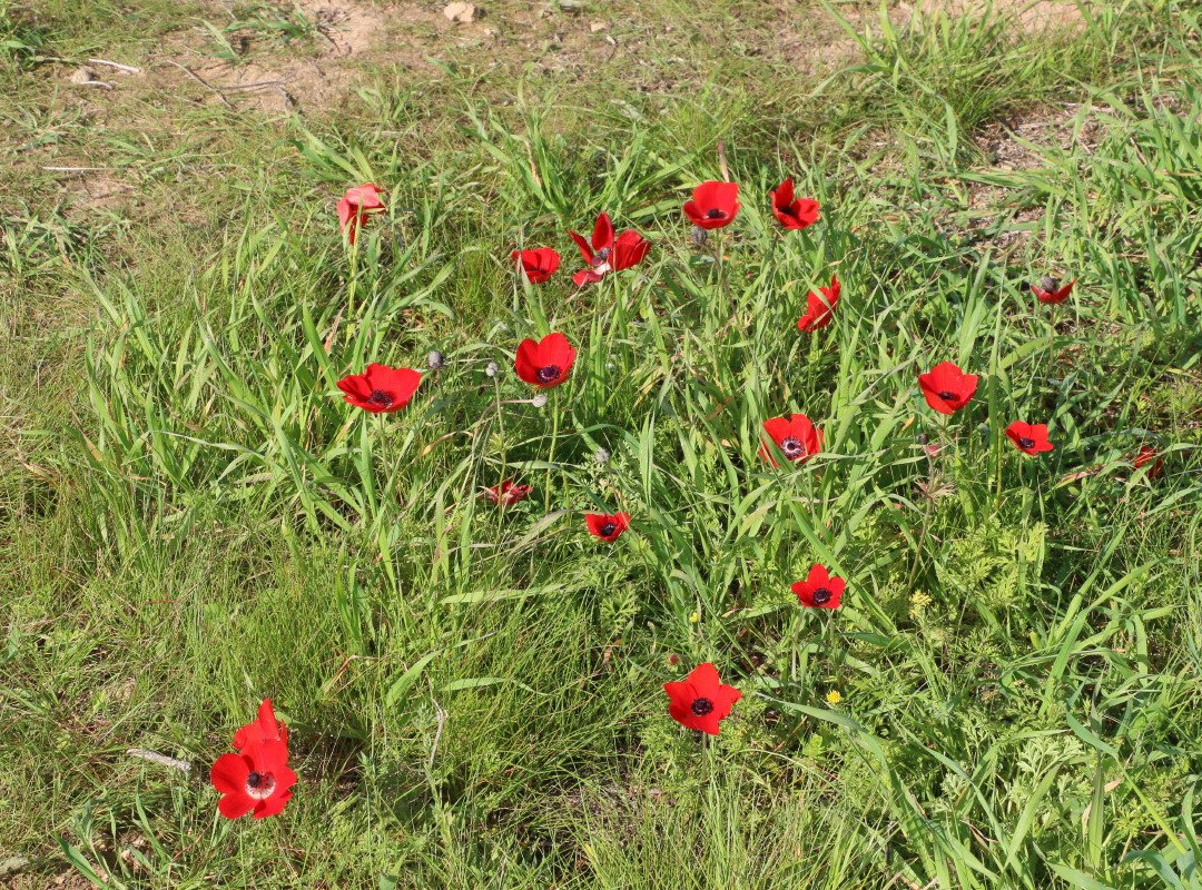 Pura Nature Reserve-贝尔谢巴必去景点
