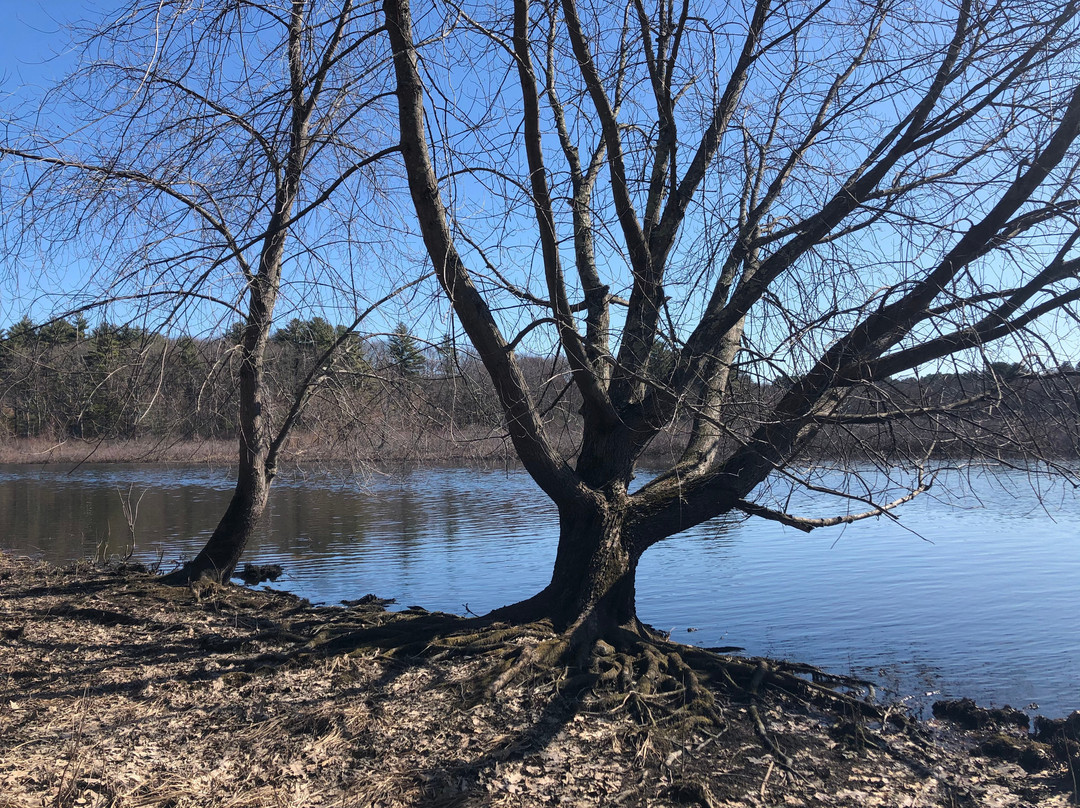 Great Meadows Wildlife Refuge景点图片