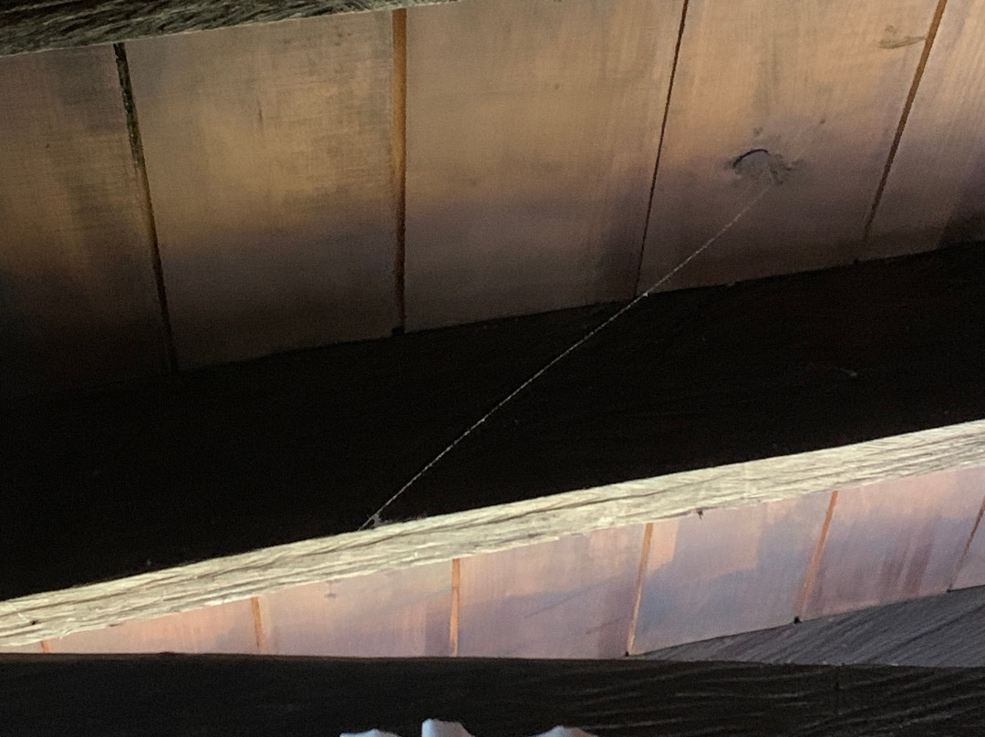 Cabanas Revi Inn主图