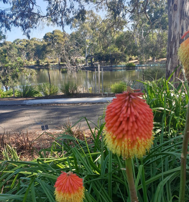 Wittunga Botanic Garden景点图片