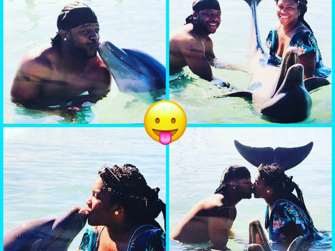 Bahamas Adventures-弗里波特必去景点