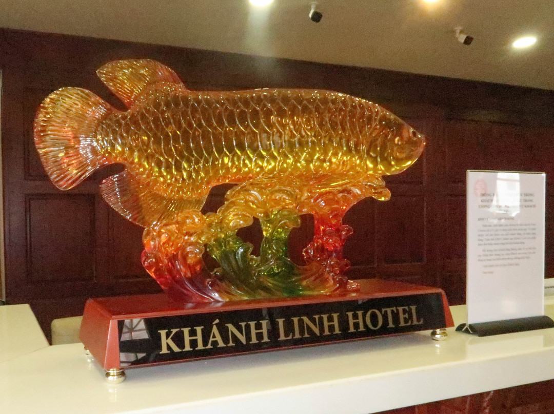 Khanh Linh Hotel Gia Lai主图