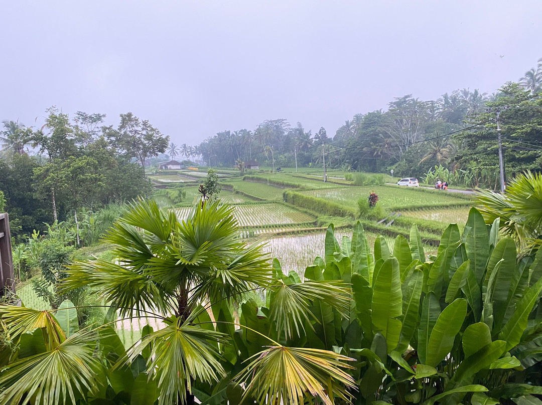 The Loka Swara Villa主图