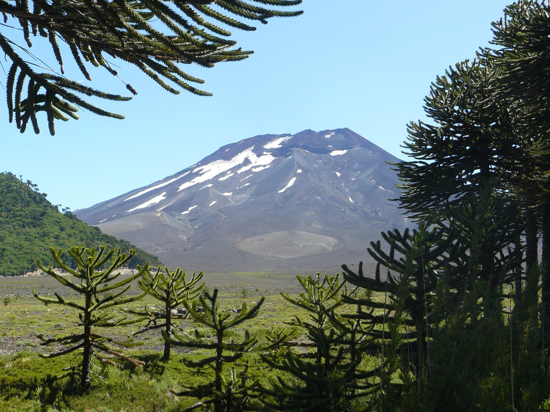 Eco Tour Terra-Curacautin必去景点