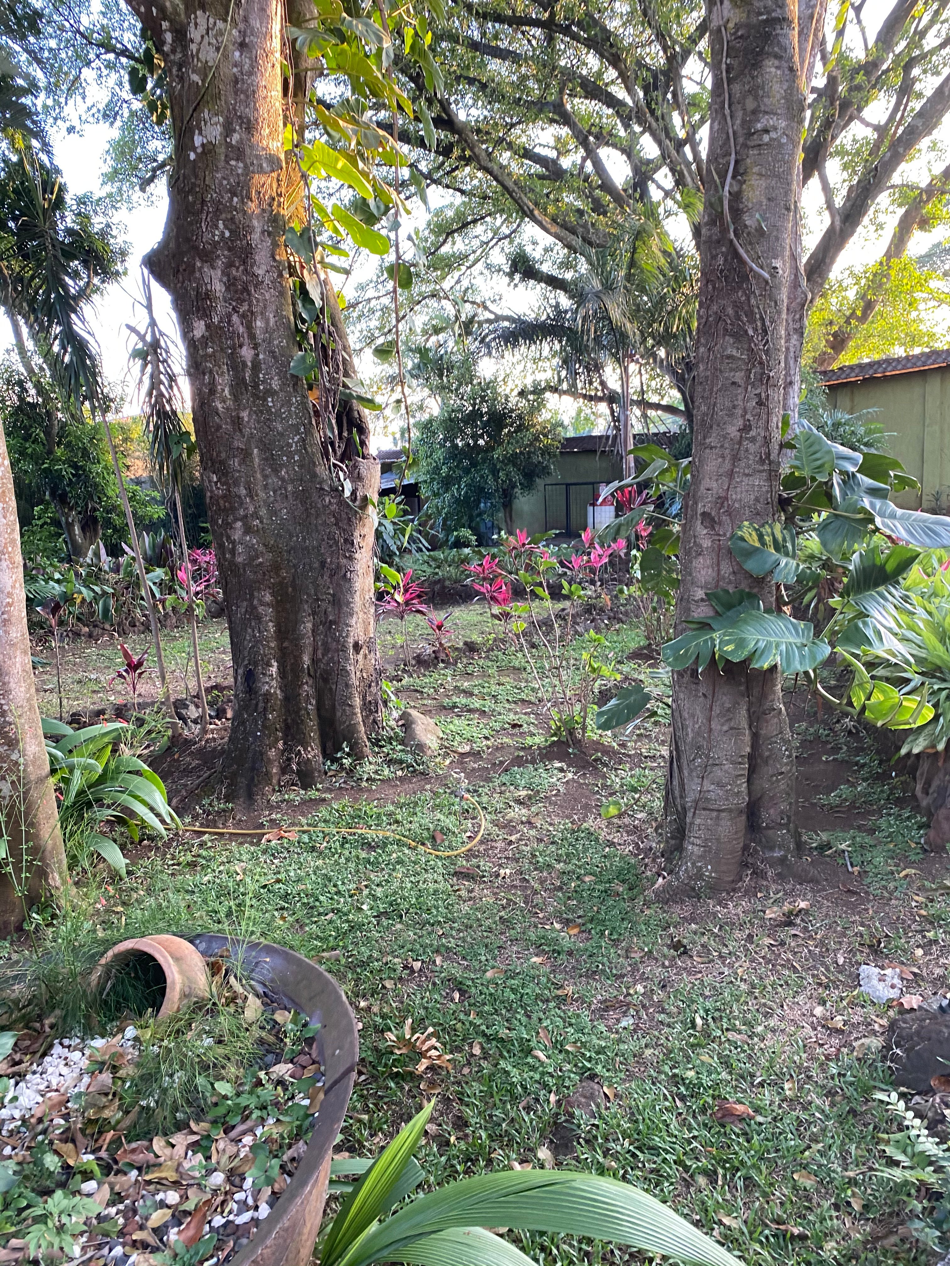 Hotel Villa San Ignacio-家庭/游戏区