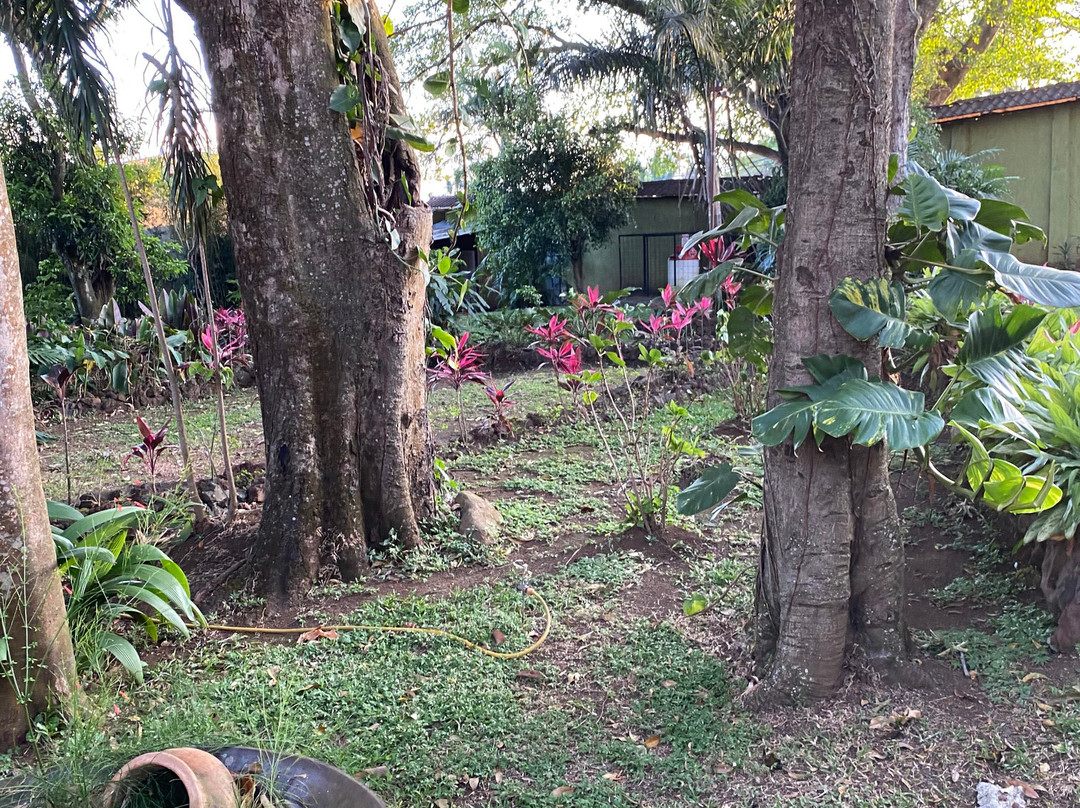 Hotel Villa San Ignacio主图