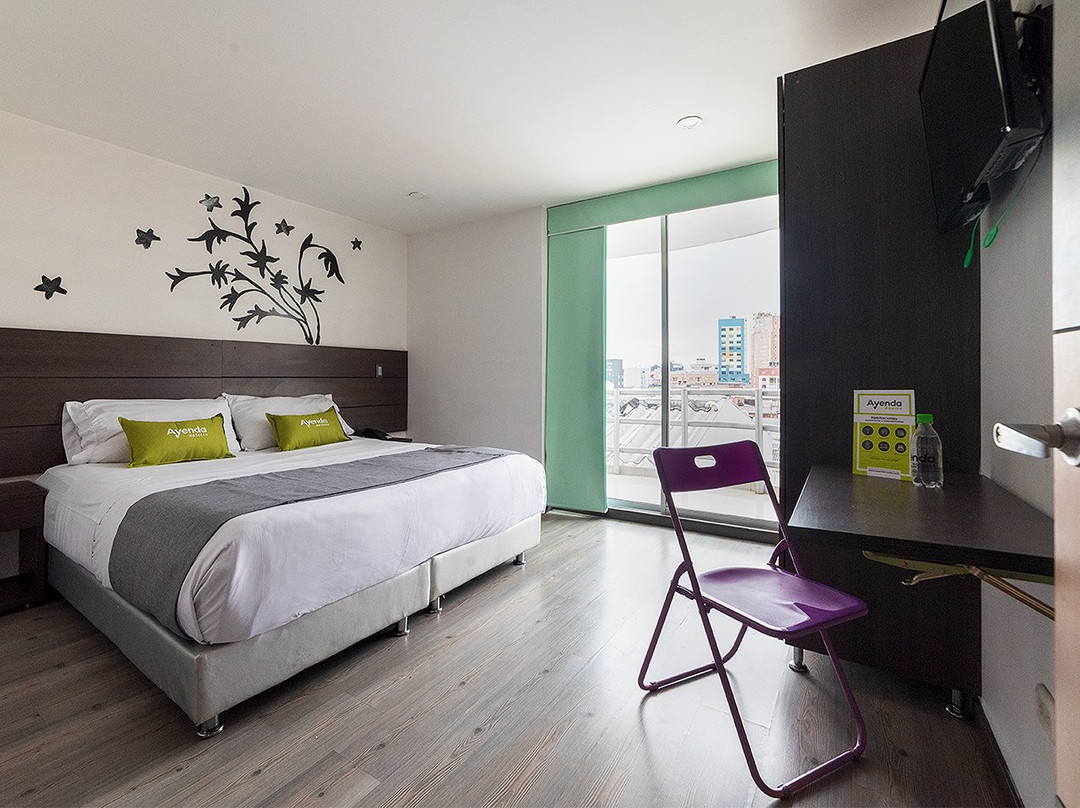 Hotel Ecoferia Boutique主图