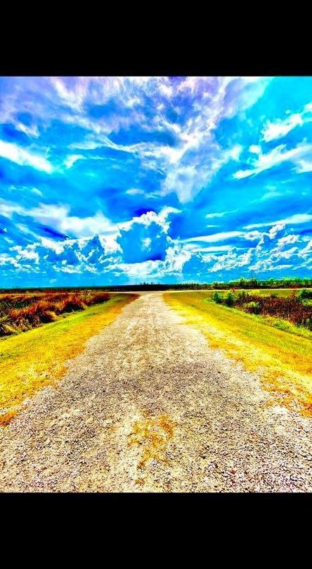 Sweetwater Wetlands Park景点图片