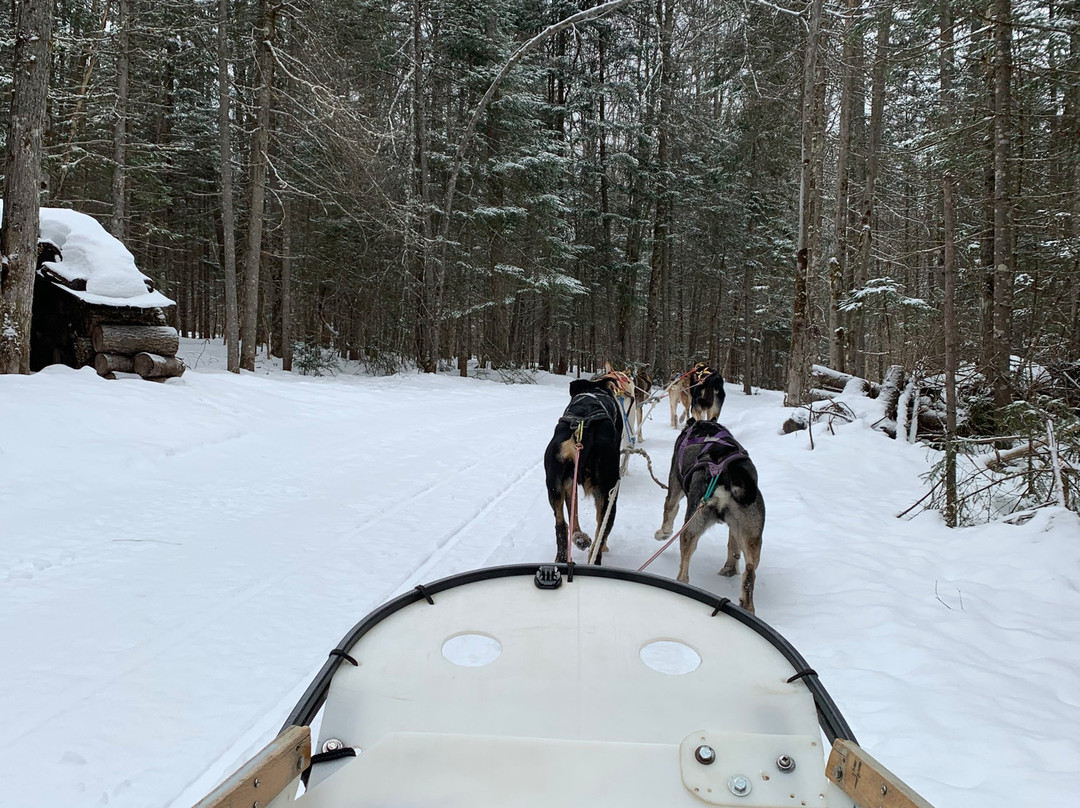 Eden Dogsledding-Eden Mills必去景点