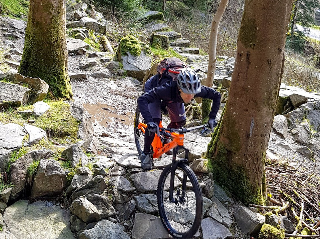 Tom Hutton MTB Guiding景点图片