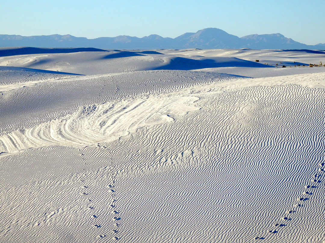 White Sands National Park景点图片