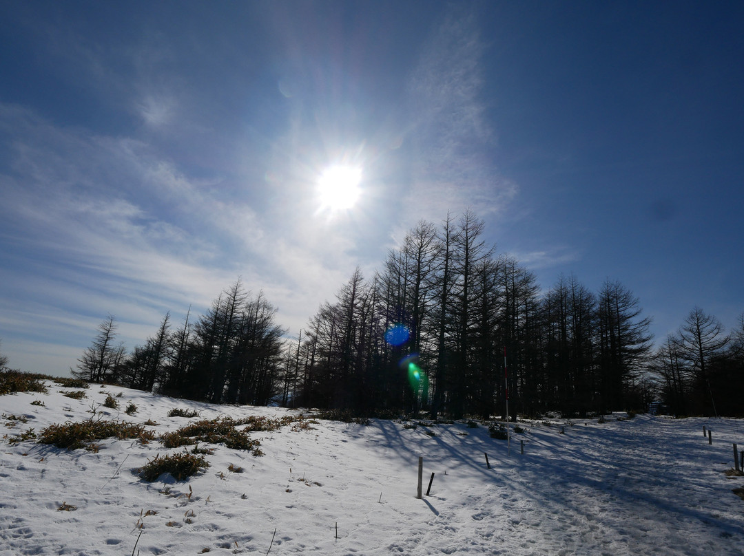 Ogahana-松本市必去景点