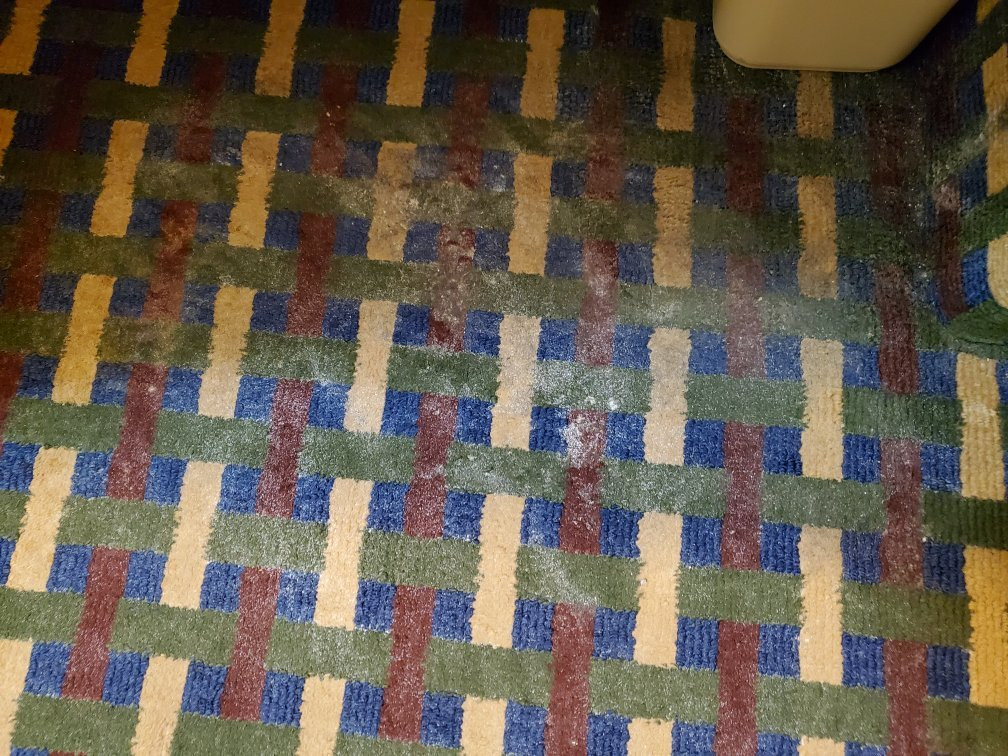 Quality Inn Airport–Southeast主图