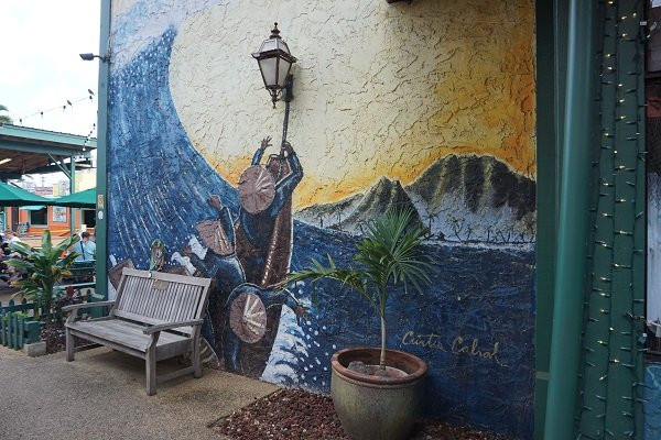 Ching Young Village Shopping Center-哈纳雷伊必去景点