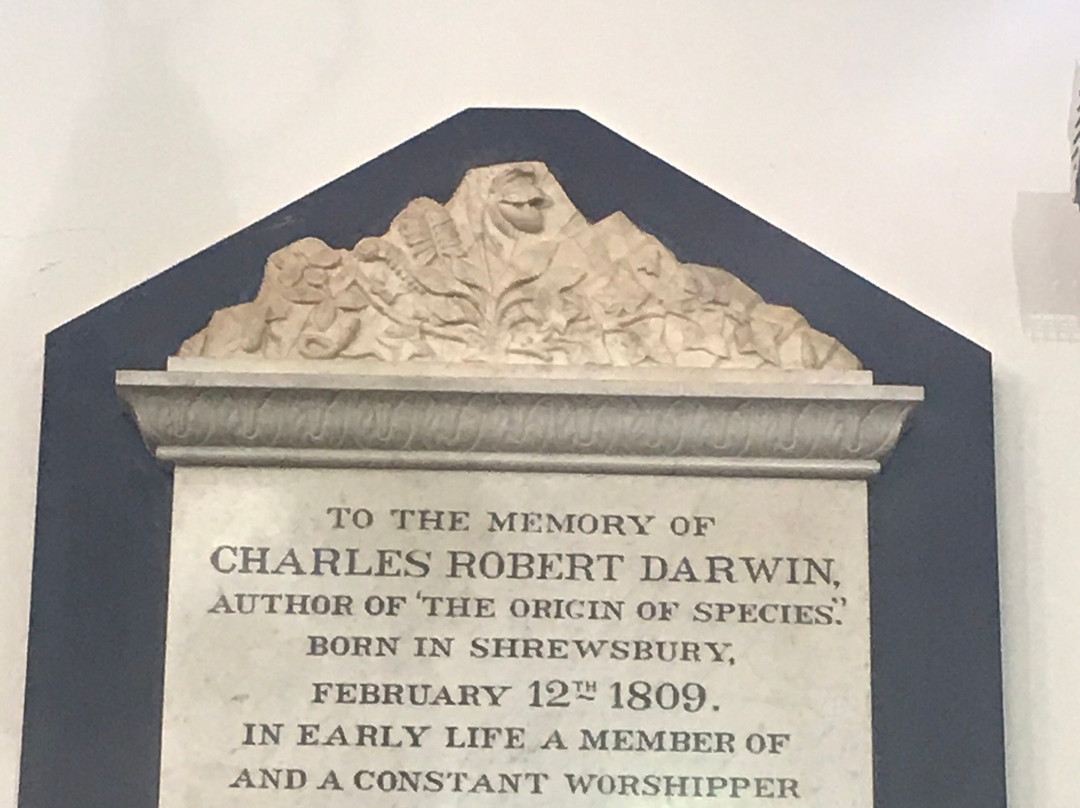 Shrewsbury Unitarian Church-什鲁斯伯里必去景点