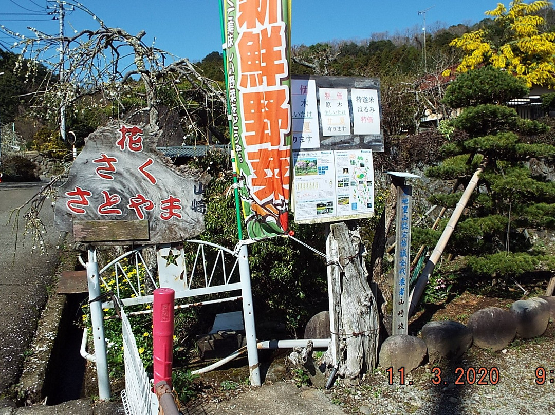 Hanasaku Satoyama Walk-南足柄市必去景点