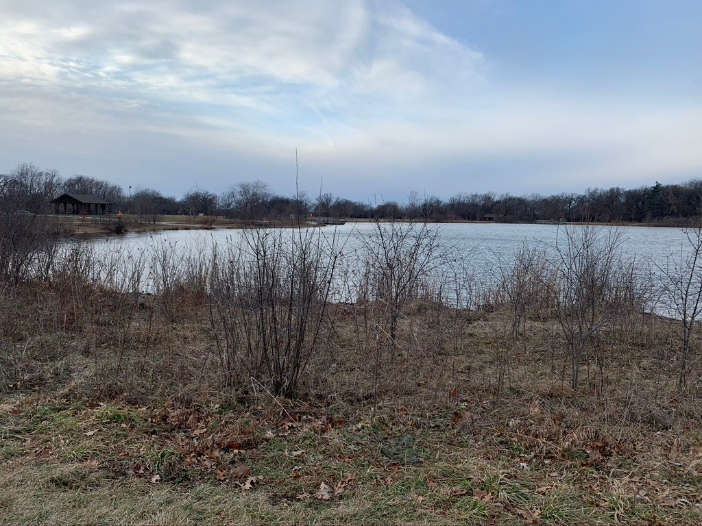 Wood Dale Grove Forest Preserve-Wood Dale必去景点