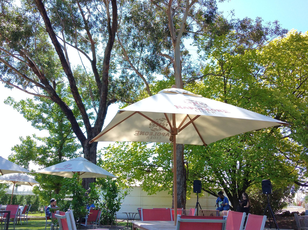 Punt Road Wines-科尔德斯特里姆必去景点