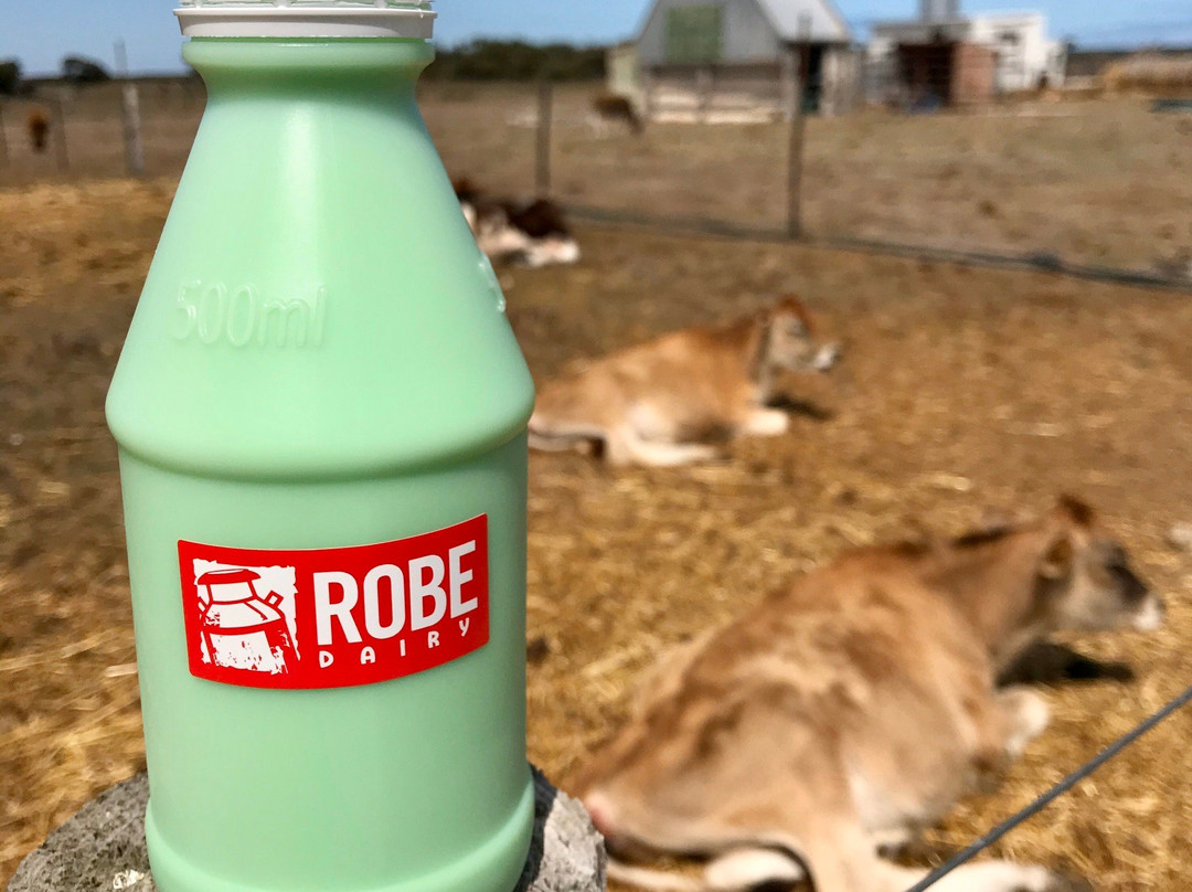 Robe Dairy-罗布必去景点