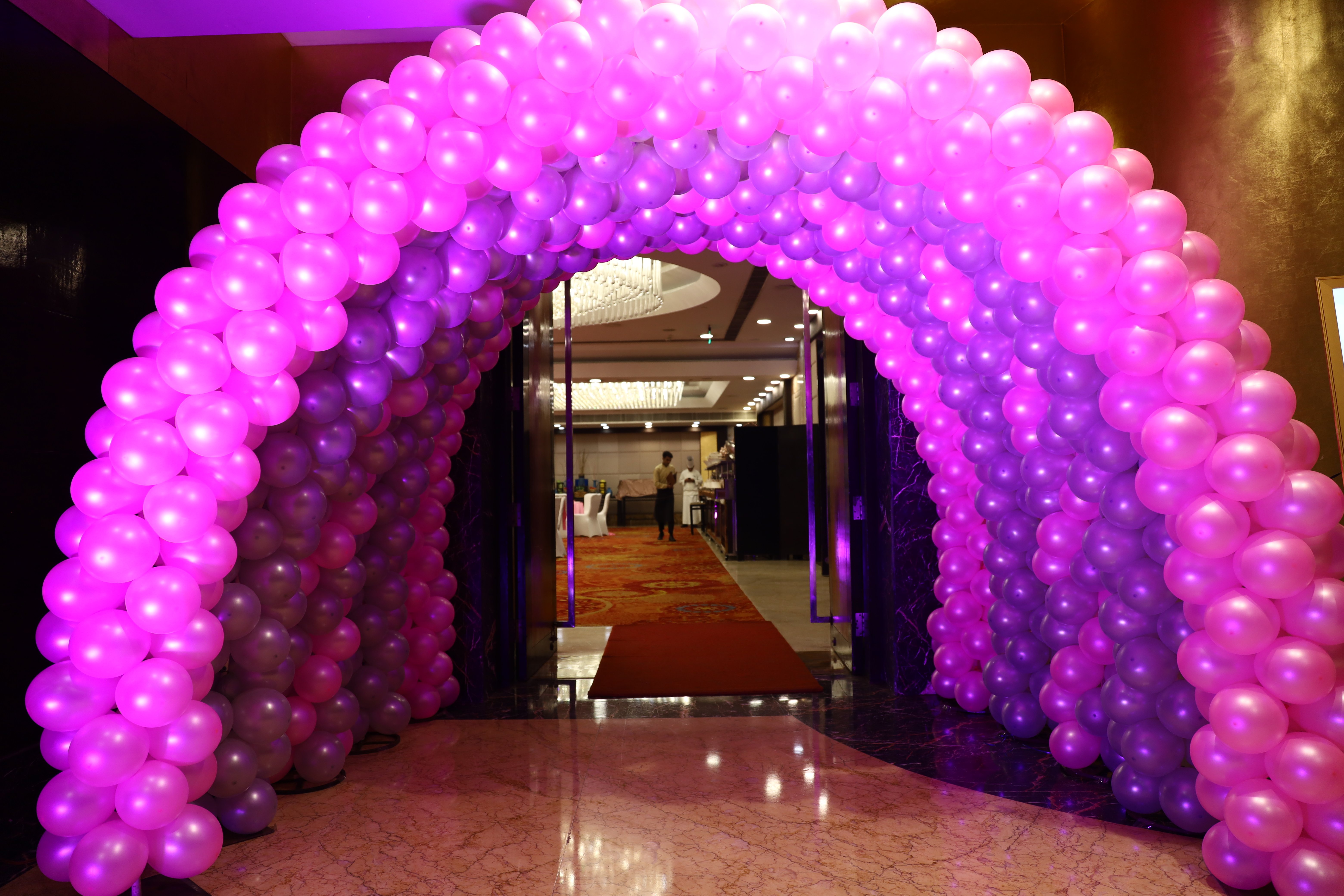 Radisson Blu Hotel, Kaushambi Delhi NCR-商务中心/多功能厅