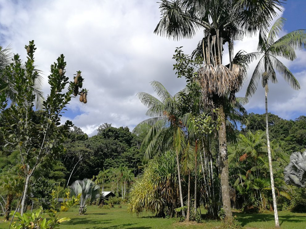 Belizon Camp Bonaventure