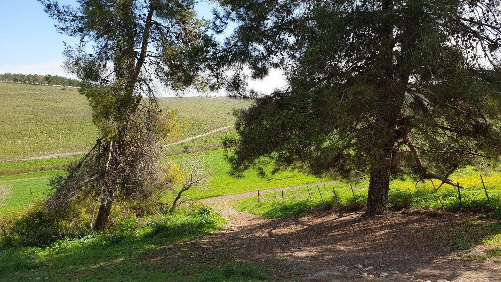 Giv'at HaRakafot-Ramot Menashe必去景点