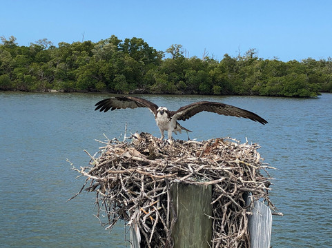 On a Mission Fishing Charters-那不勒斯必去景点