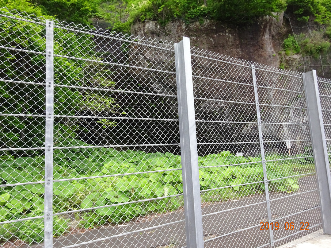 Maccaus Cave景点图片